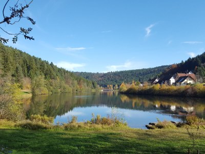 Holiday house Seewald- Ferienhaus - Environment photo 17