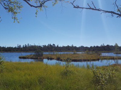 Holiday house Seewald- Ferienhaus - Environment photo 18
