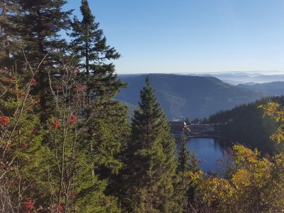 Holiday house Seewald- Ferienhaus - Environment photo 19