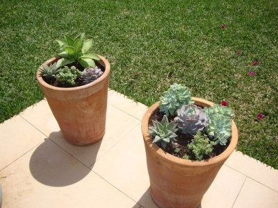 Finca Can Linda - Outdoor photo 7