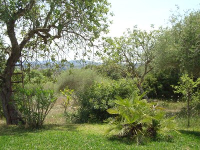 Finca Can Linda - Outdoor photo 8
