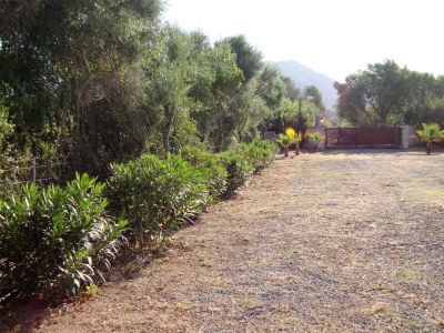 Finca Can Linda - Outdoor photo 16