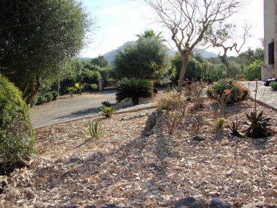 Finca Can Linda - Outdoor photo 17