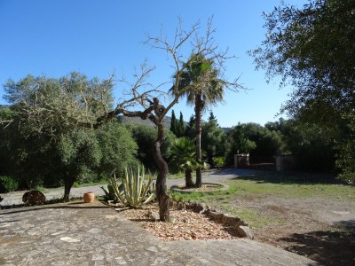 Finca Can Linda - Outdoor photo 18
