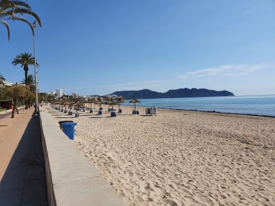 Finca Can Linda - Environment photo 35