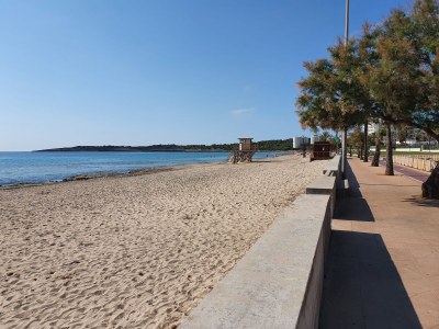 Finca Can Linda - Environment photo 36