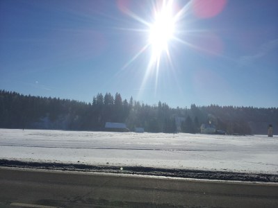 Holiday apartment Zaunkönig - Outdoor photo 7