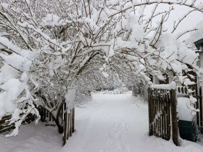 Holiday apartment Zaunkönig - Outdoor photo 8