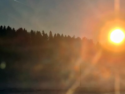 Holiday apartment Zaunkönig - Outdoor photo 9