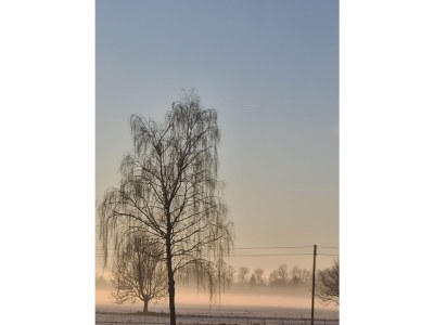 Holiday apartment Zaunkönig - Outdoor photo 12