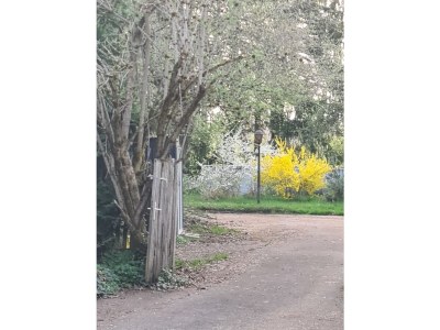 Holiday apartment Zaunkönig - Outdoor photo 13