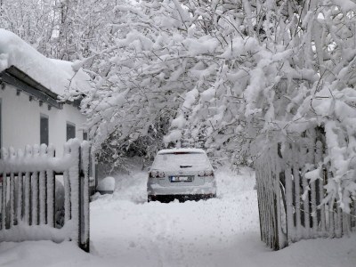 Holiday apartment Zaunkönig - Outdoor photo 17