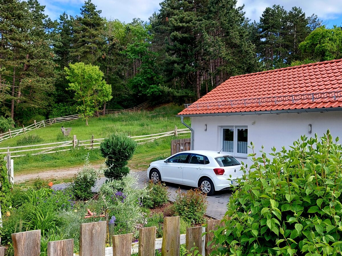 Holiday house Finkenhof - Outdoor photo 3