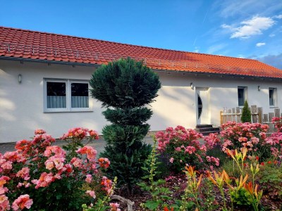 Holiday house Finkenhof - Outdoor photo 2