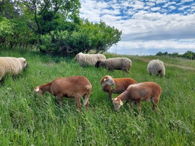 Holiday house Finkenhof - Environment photo 31