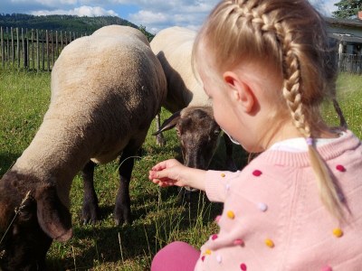 Holiday house Finkenhof - Environment photo 32
