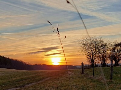Holiday house Finkenhof - Environment photo 35