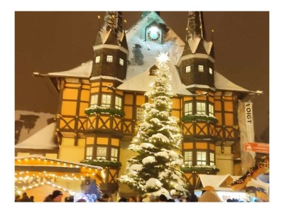 Holiday house Finkenhof - Environment photo 36