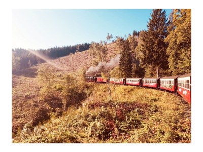 Holiday house Finkenhof - Environment photo 39