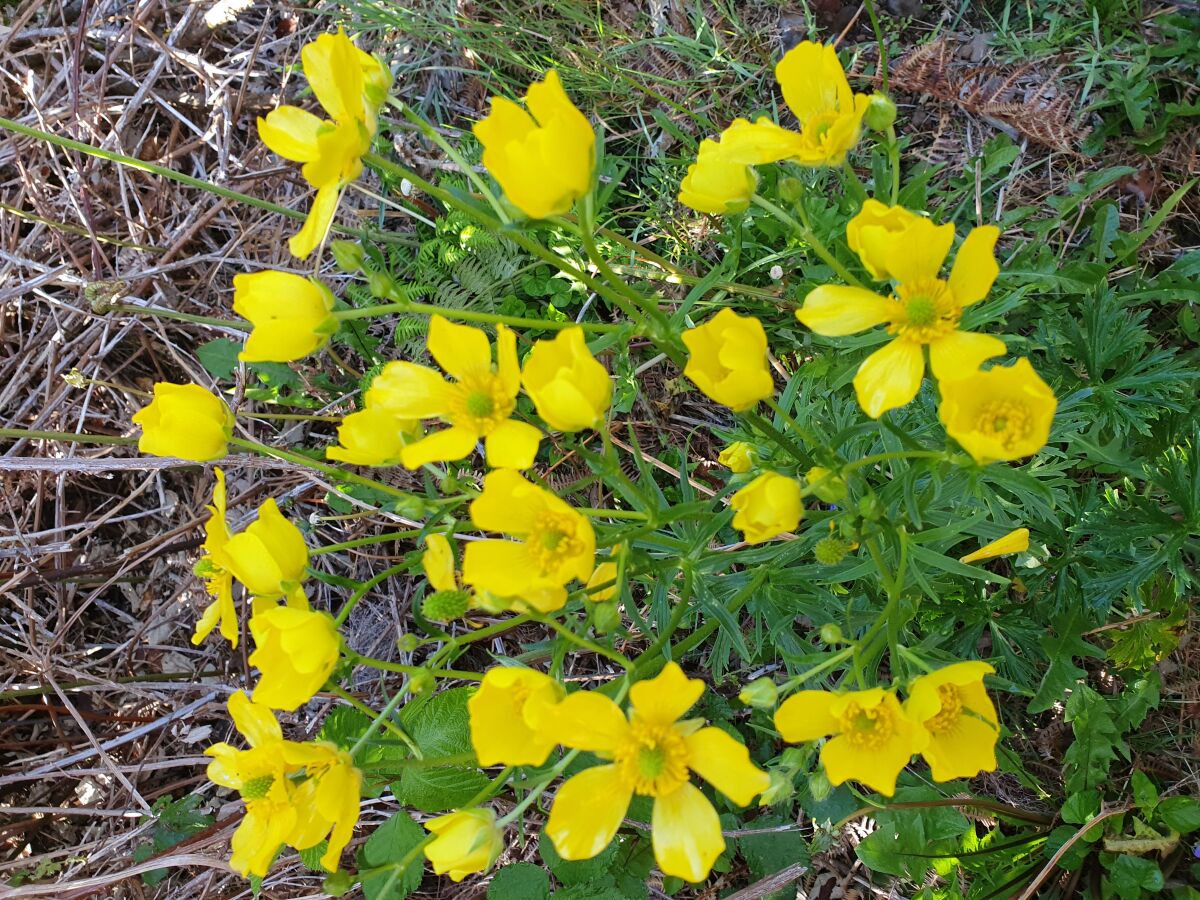 Holiday house Casa Escola Velha - Outdoor photo 4
