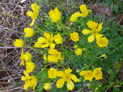 Holiday house Casa Escola Velha - Outdoor photo 4