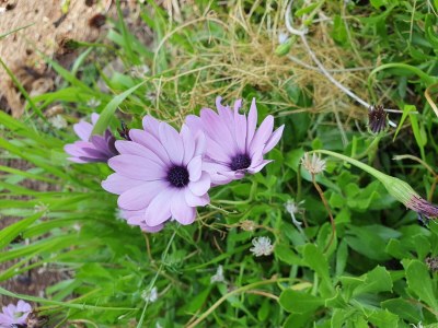 Holiday house Casa Escola Velha - Outdoor photo 11