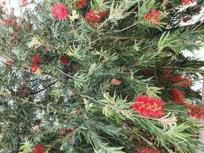 Holiday house Casa Escola Velha - Outdoor photo 12