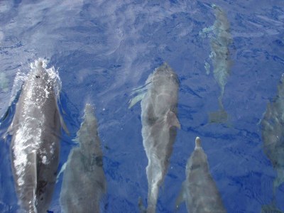 Holiday house Casa Escola Velha - Environment photo 23