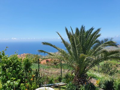 Holiday house Casa Escola Velha - Environment photo 27