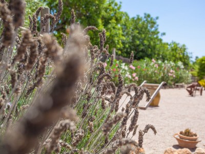 Finca Son Segi - Outdoor photo 18