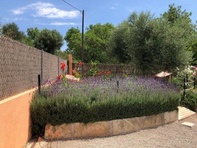 Finca Son Segi - Outdoor photo 20