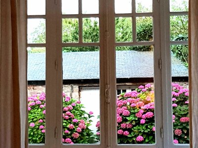 Holiday house L´Hortensia Cap Frèhel - Outdoor photo 11