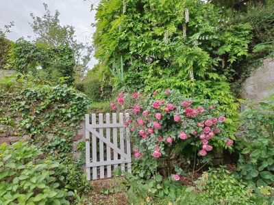 Holiday house L´Hortensia Cap Frèhel - Features photo 20