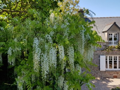 Holiday house L´Hortensia Cap Frèhel - Features photo 21