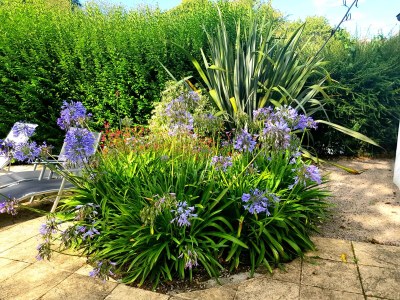 Holiday house L´Hortensia Cap Frèhel - Environment photo 30