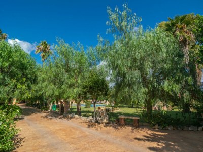 Villa Ca Sa Nina - Outdoor photo 22