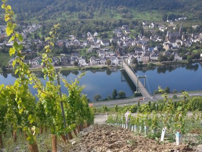 Holiday apartment Katharina - Environment photo 18