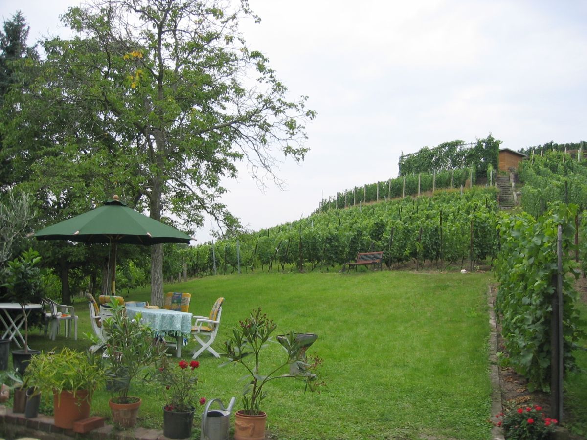 Holiday apartment Marias Leidenschaft im Weingut Mariaberg - Outdoor photo 2