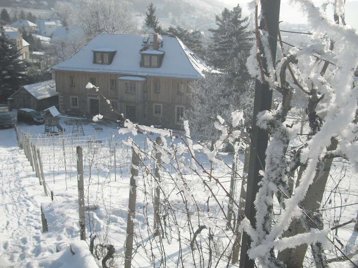 Holiday apartment Marias Leidenschaft im Weingut Mariaberg - Outdoor photo 4