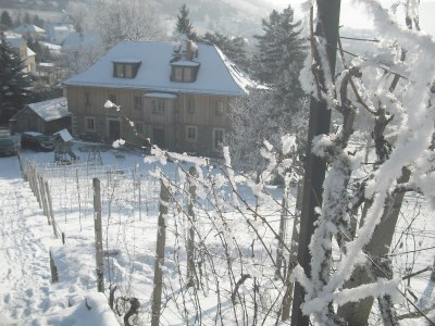 Holiday apartment Marias Leidenschaft im Weingut Mariaberg - Outdoor photo 4