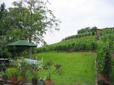 Holiday apartment Marias Leidenschaft im Weingut Mariaberg - Environment photo 11