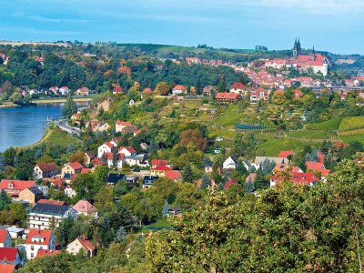 Holiday apartment Marias Leidenschaft im Weingut Mariaberg - Environment photo 12