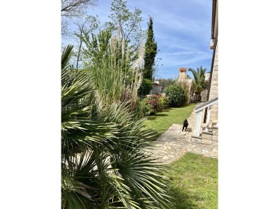 Holiday apartment Vivendi Nr.1 (ground floor) - Outdoor photo 13