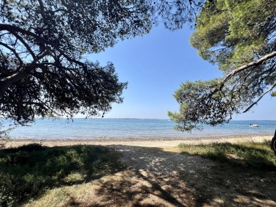 Holiday apartment Vivendi Nr.1 (ground floor) - Environment photo 30