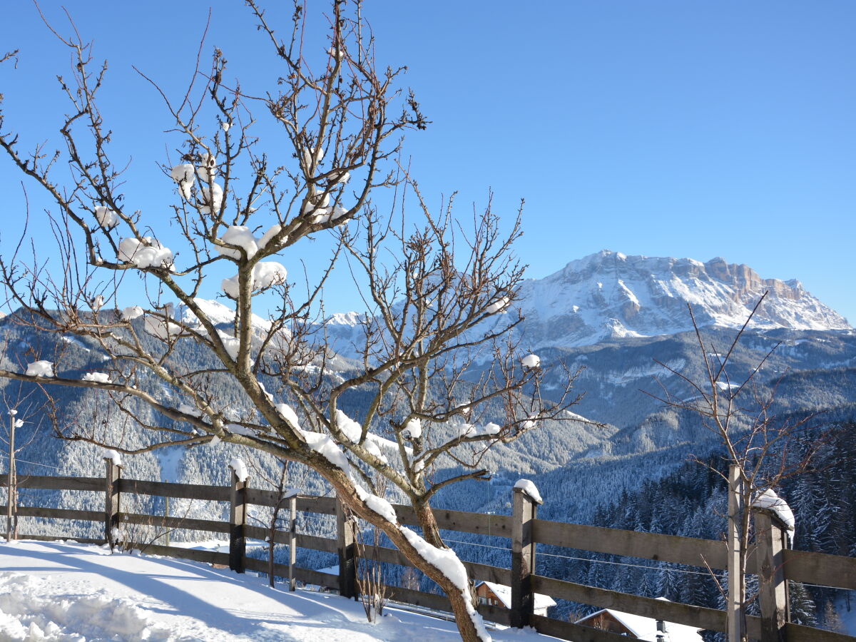 Holiday apartment Palio - Outdoor photo 3