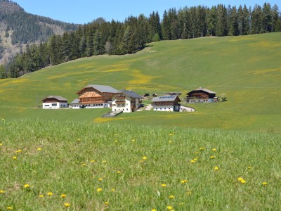 Holiday apartment Palio - Outdoor photo 6