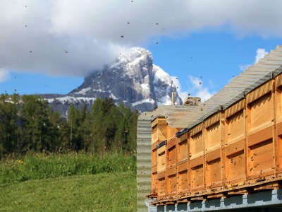 Holiday apartment Palio - Environment photo 16