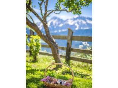 Holiday apartment Palio - Environment photo 21