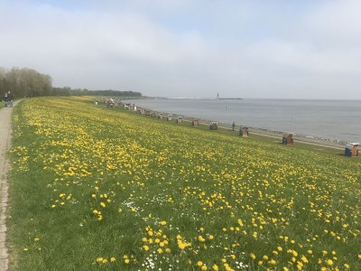 Holiday apartment Niermann - Environment photo 17