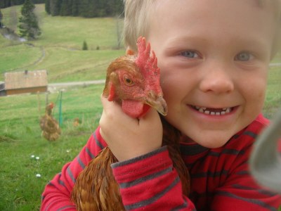 Holiday apartment Rutscherhof - Outdoor photo 10